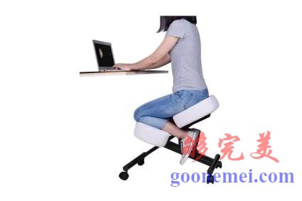 Dragonn人机工学跪椅