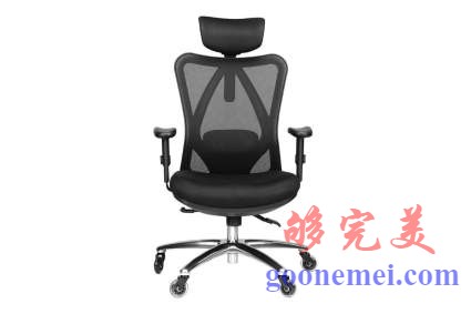 Duramont人机工学可调节办公椅