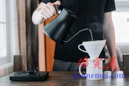 斯塔格EKG +蓝牙倒壶