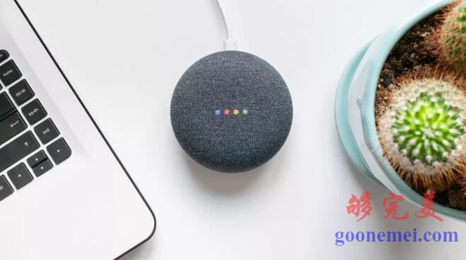 Google Nest Mini